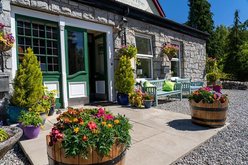 The Rowan Tree Country Hotel Aviemore Exterior photo